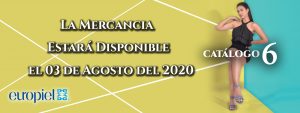 cat-6-WEB-lanza
